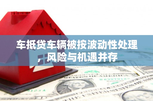 长乐车抵贷车辆被按波动性处理，风险与机遇并存