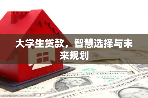 翁源大学生贷款，智慧选择与未来规划