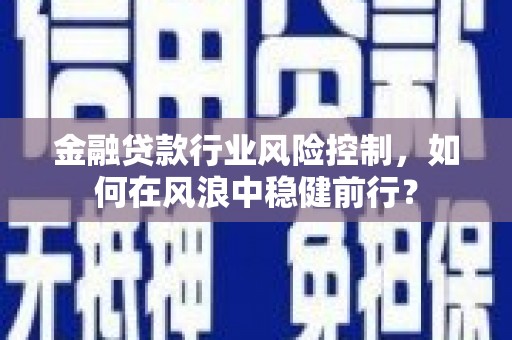 麦寮金融贷款行业风险控制，如何在风浪中稳健前行？