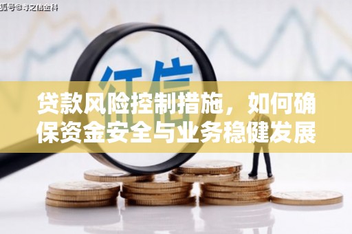 博野贷款风险控制措施，如何确保资金安全与业务稳健发展