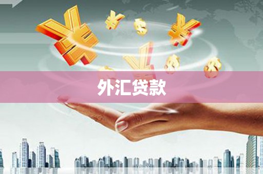 松岭外汇贷款