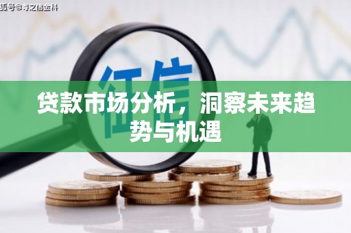 定日贷款市场分析，洞察未来趋势与机遇