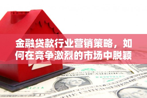 蒙山金融贷款行业营销策略，如何在竞争激烈的市场中脱颖而出？