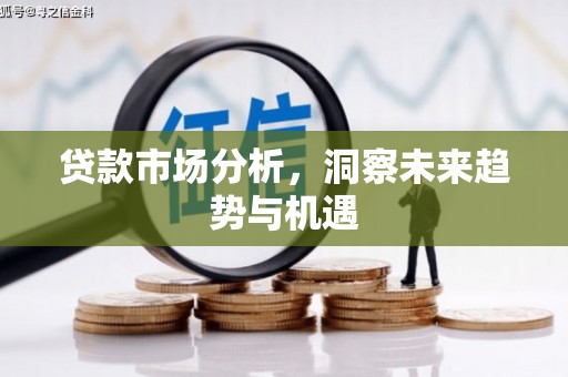 鸠江贷款市场分析，洞察未来趋势与机遇